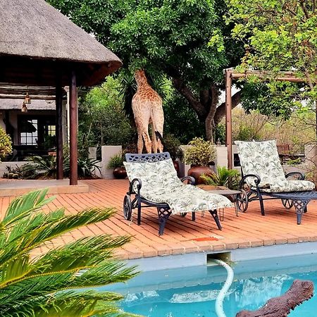 Graceland Eco Retreat Magoebaskloof Luaran gambar