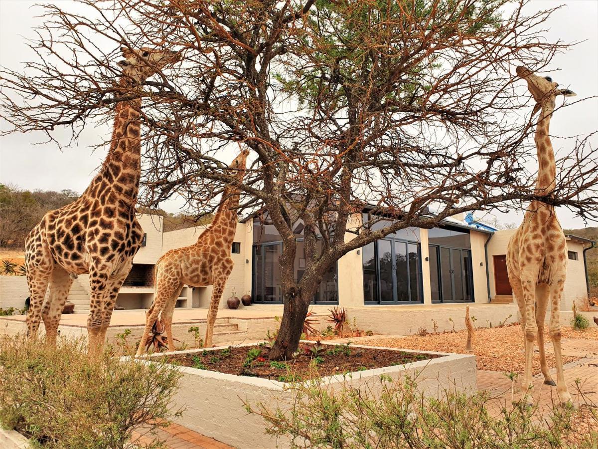 Graceland Eco Retreat Magoebaskloof Luaran gambar