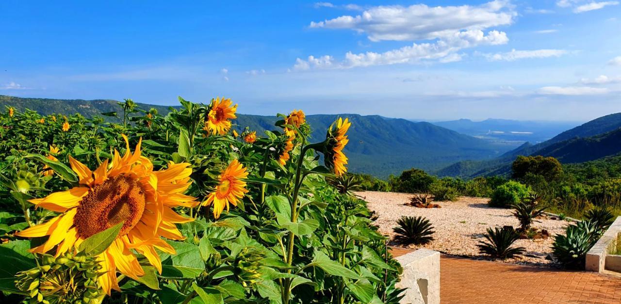 Graceland Eco Retreat Magoebaskloof Luaran gambar