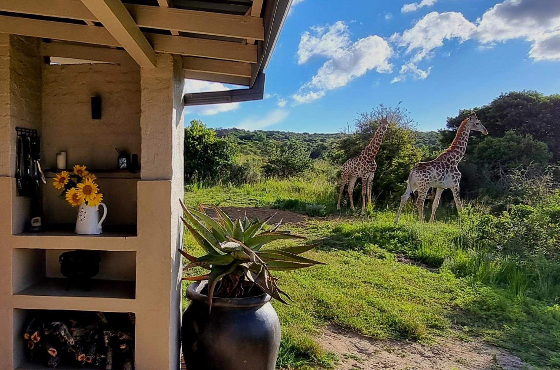 Graceland Eco Retreat Magoebaskloof Luaran gambar