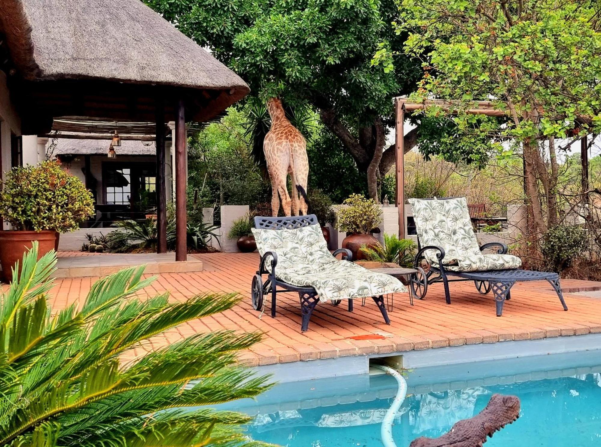 Graceland Eco Retreat Magoebaskloof Luaran gambar