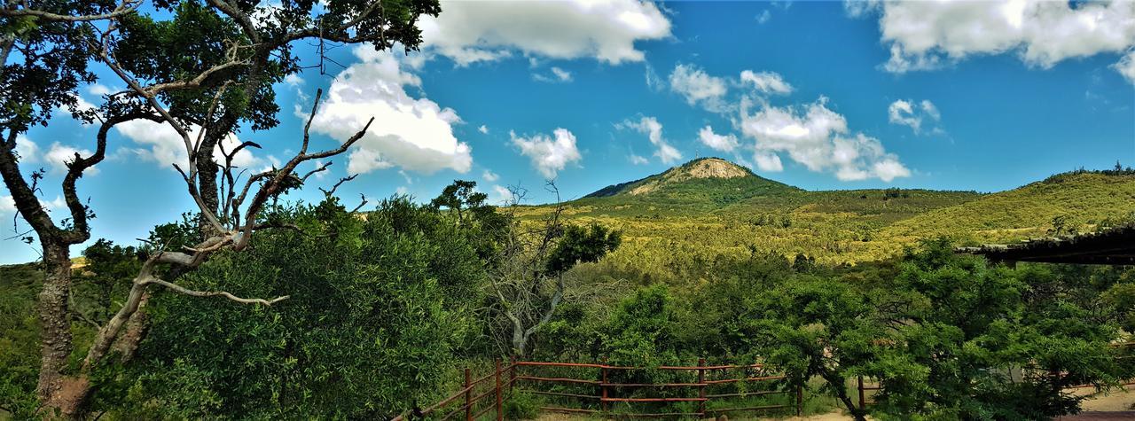 Graceland Eco Retreat Magoebaskloof Luaran gambar